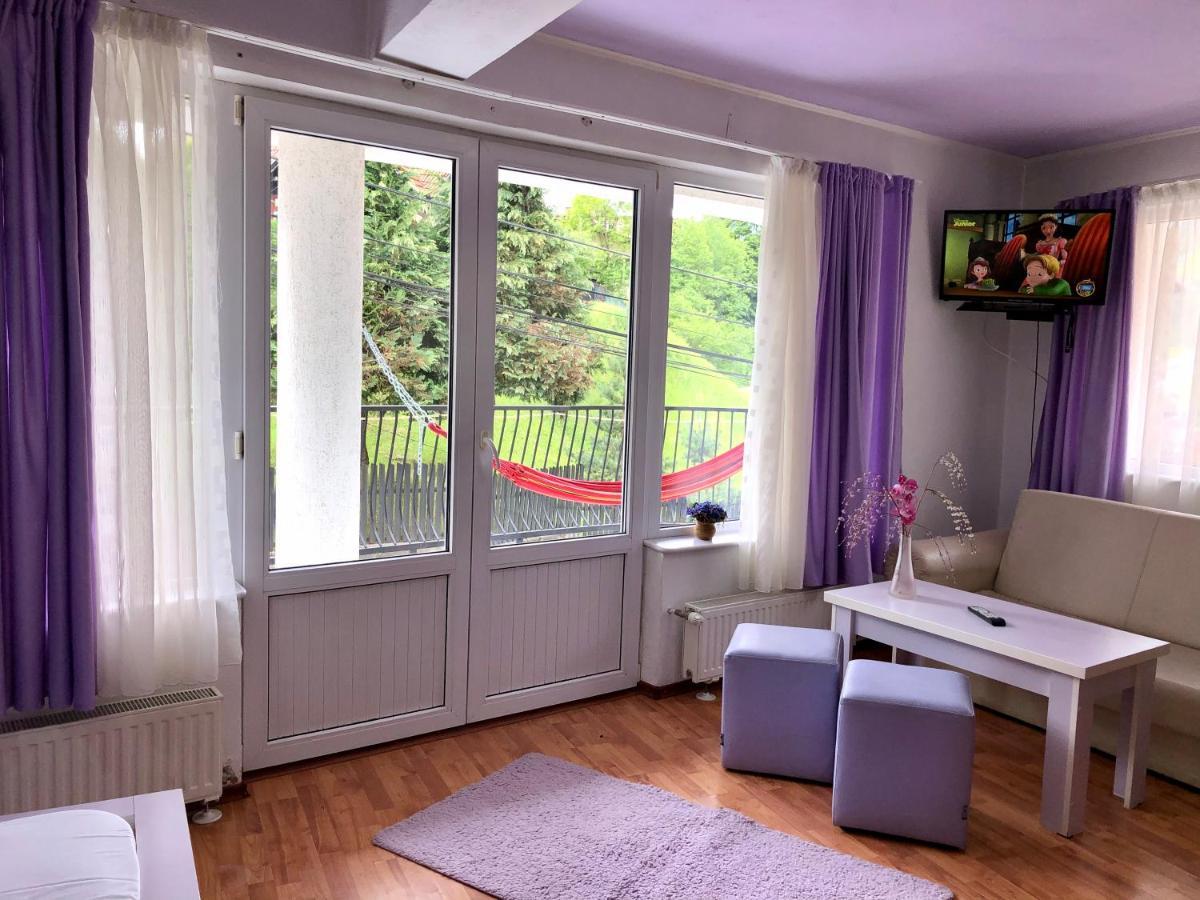 Pensiunea Carina Guest house 3*