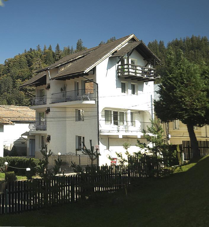 Pensiunea Carina 3* Bran (Brasov)